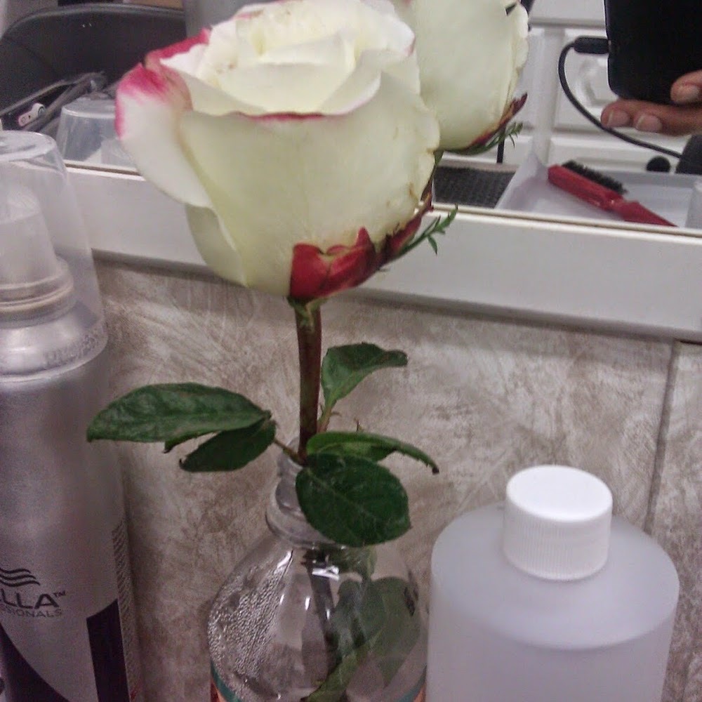 Meet your Posher, Aleen